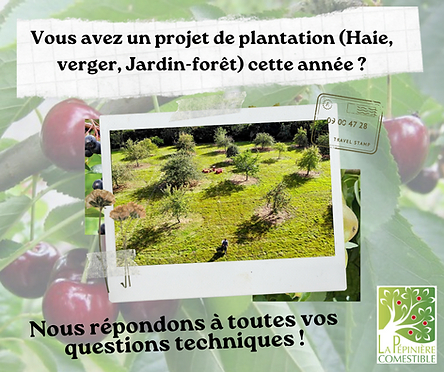 Horticulture et Pépinière à Courcelles-De-Touraine prés de Tours 