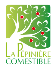 La pépinière comestible