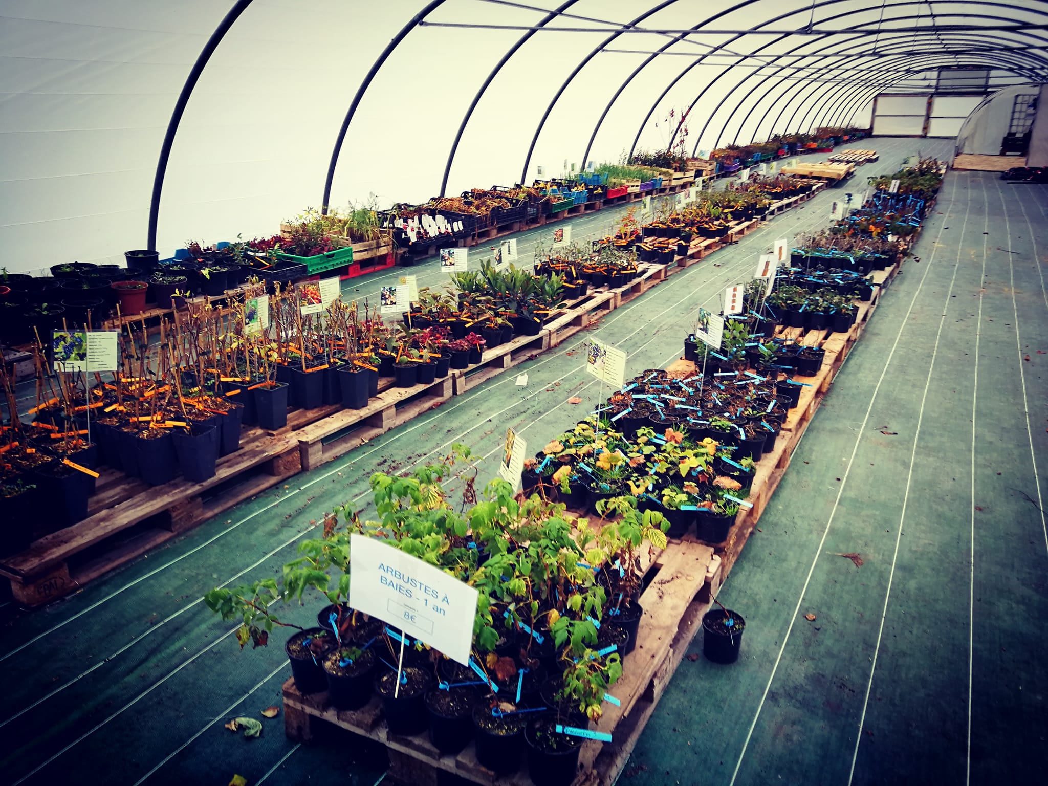 Production de plantes comestibles et de petits plants près de Tours